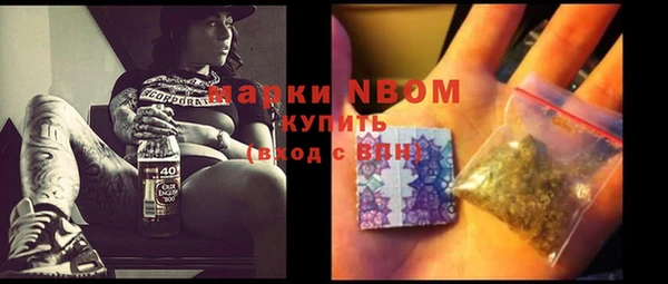 амф Новозыбков