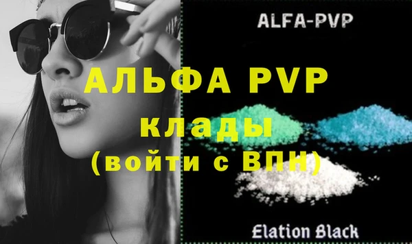 амф Новозыбков