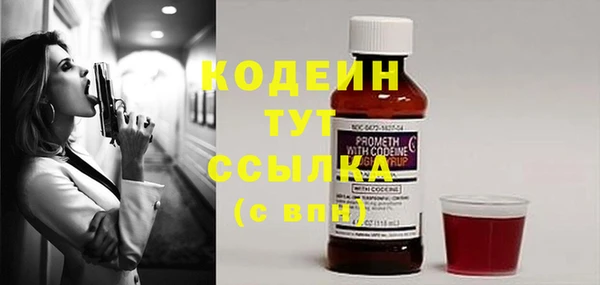 амф Новозыбков