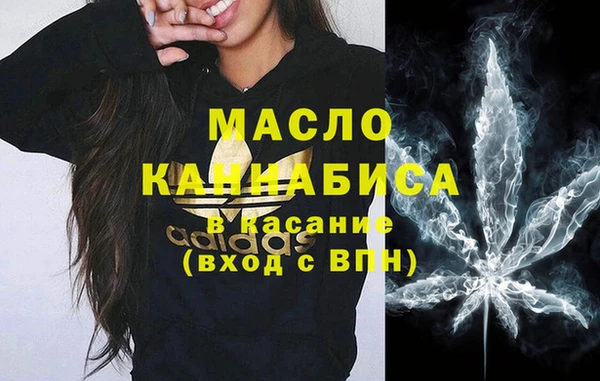 амф Новозыбков