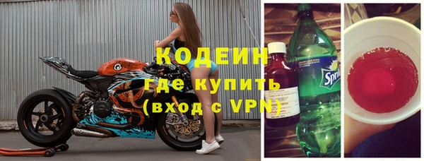 амф Новозыбков