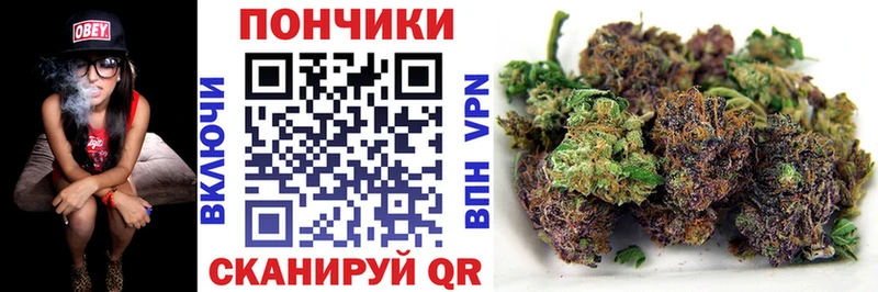 Бошки Шишки LSD WEED Пучеж